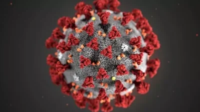 Virus-Rna