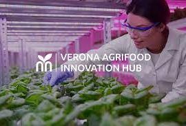 Verona Agrifood Innovation Hub