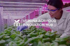 Verona Agrifood Innovation Hub