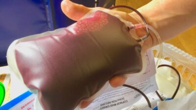 Il sangue avvelenato dei donatori vaccinati