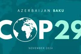 COP29